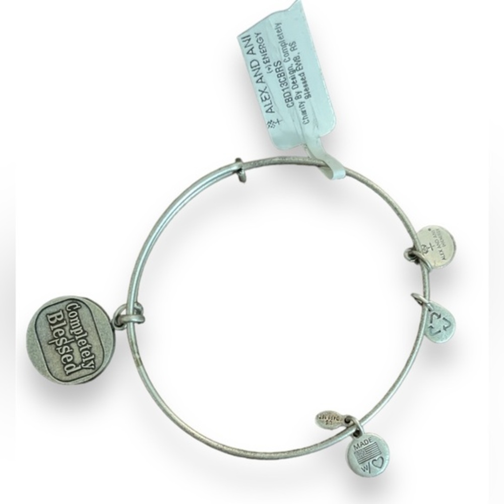 Alex and Ani Silver Completely Blessed Charm Bracelet NWT